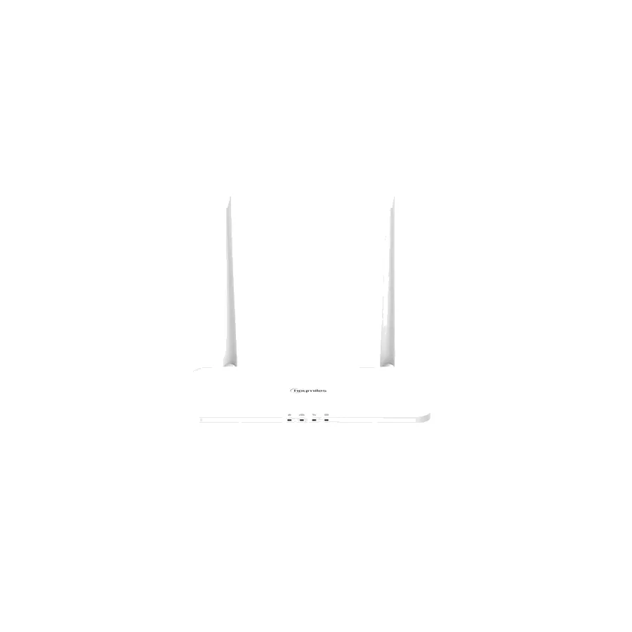 DTU-Pro-S Hoymiles